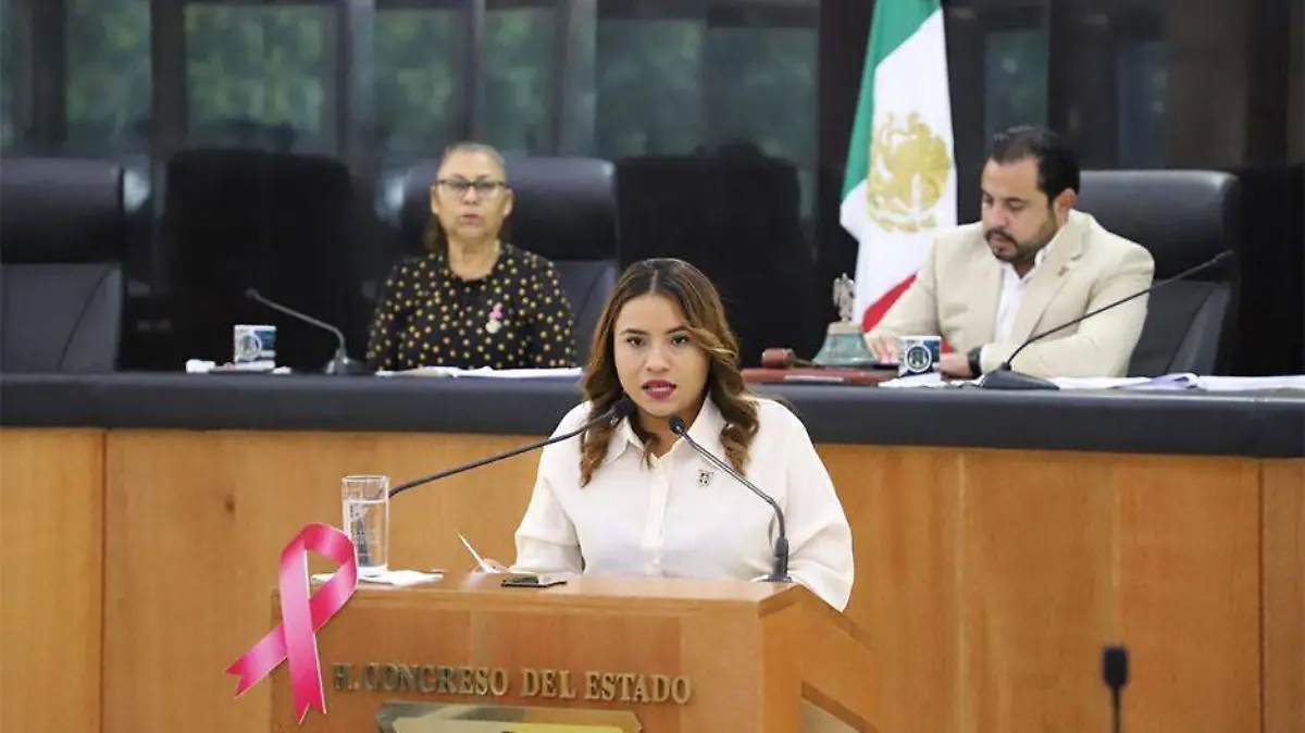 Diputada Guadalupe Vazquez Jacinto